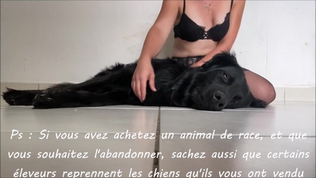 J'ai un Message à Vous Faire Passer